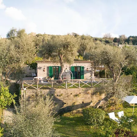 Margherita Garden *