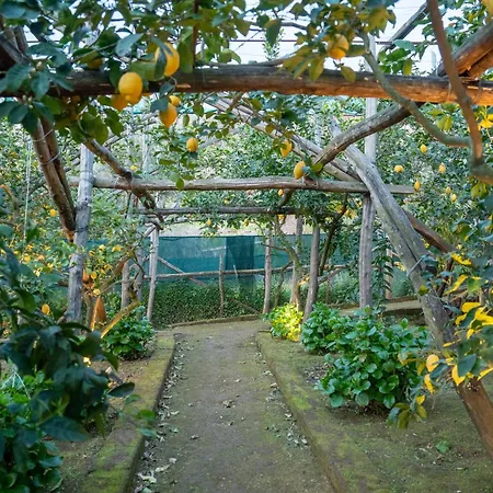 Margherita Garden